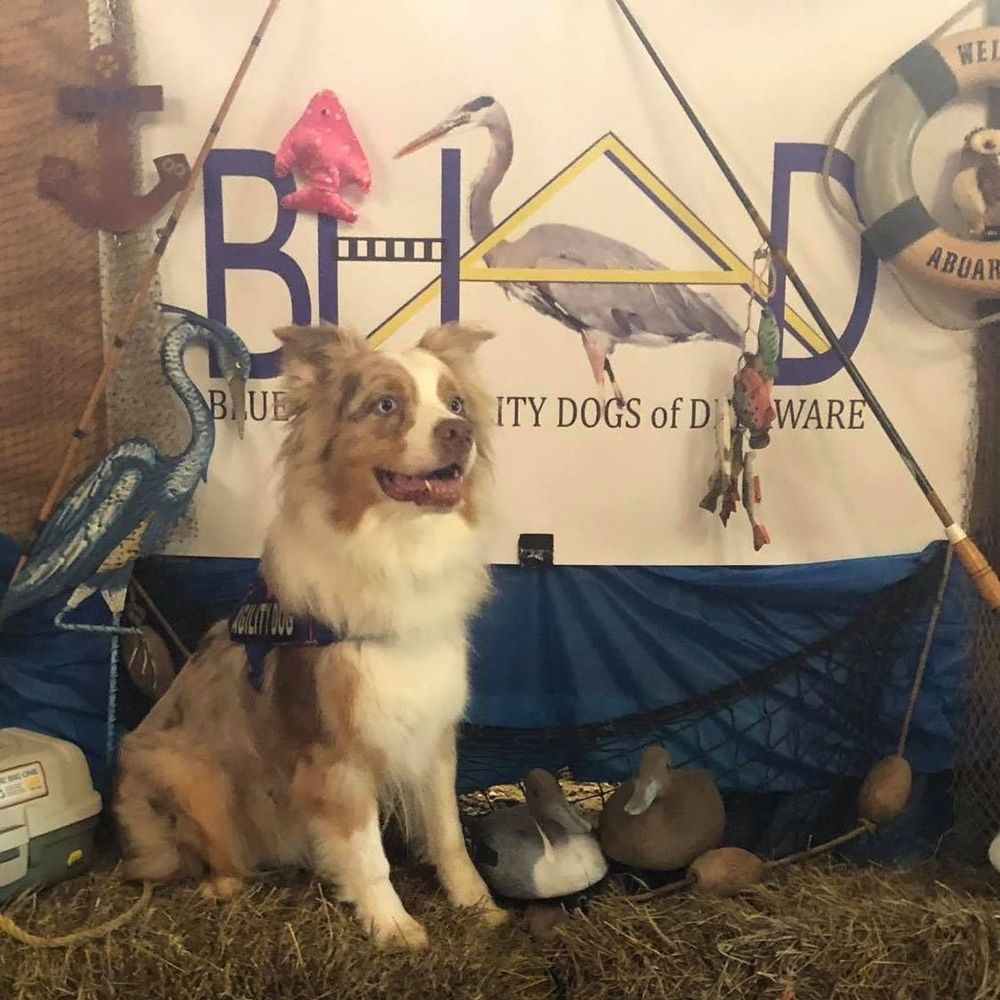 Meet your Posher, Kathleen